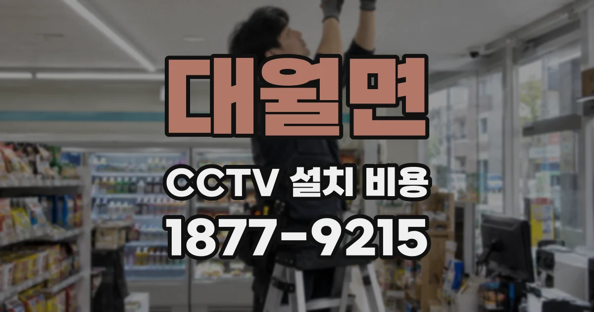 대월면 CCTV 설치 비용