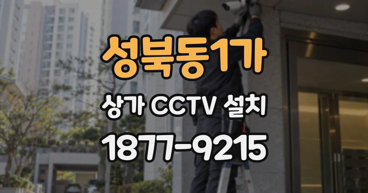 성북동1가 상가 CCTV 설치