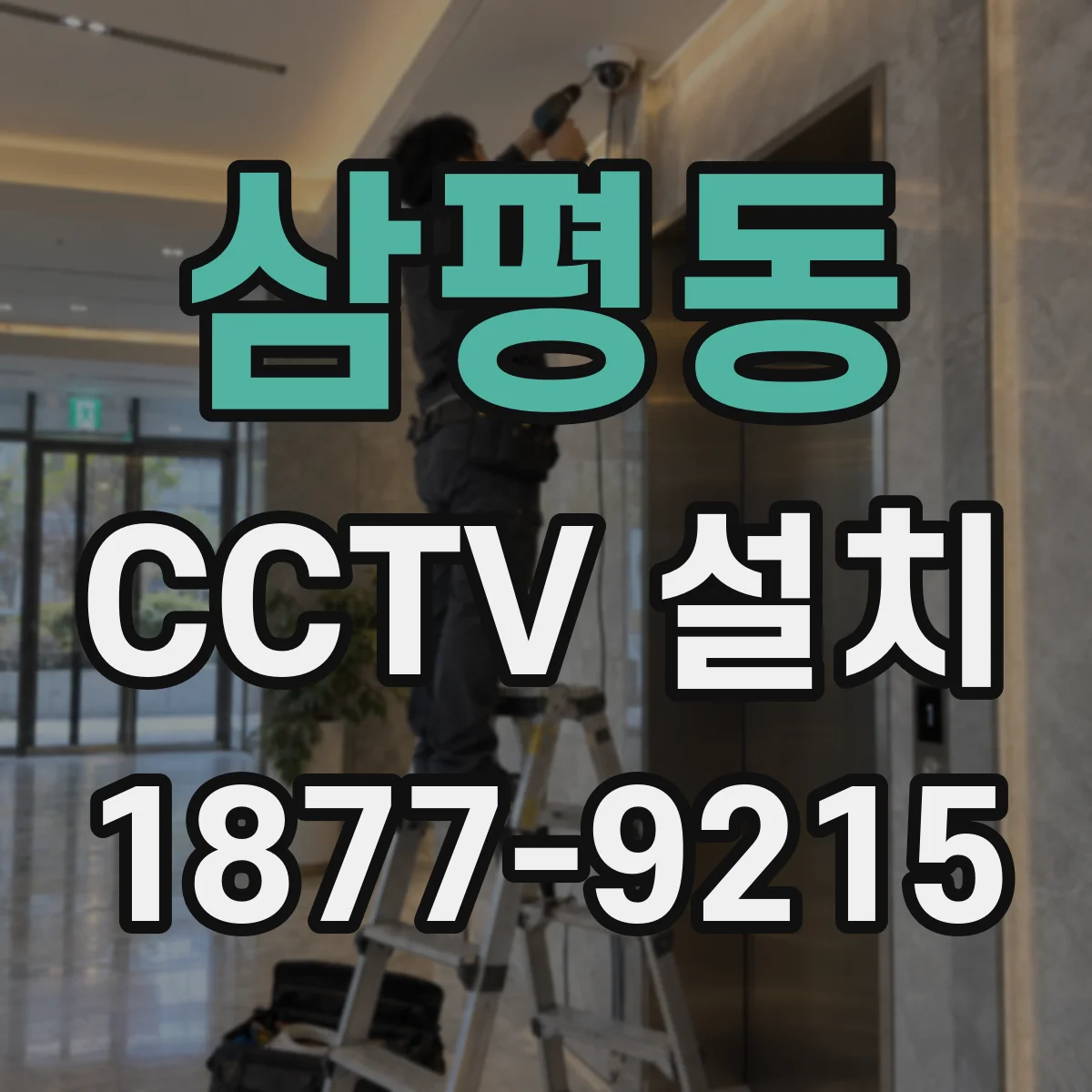 삼평동 CCTV 설치