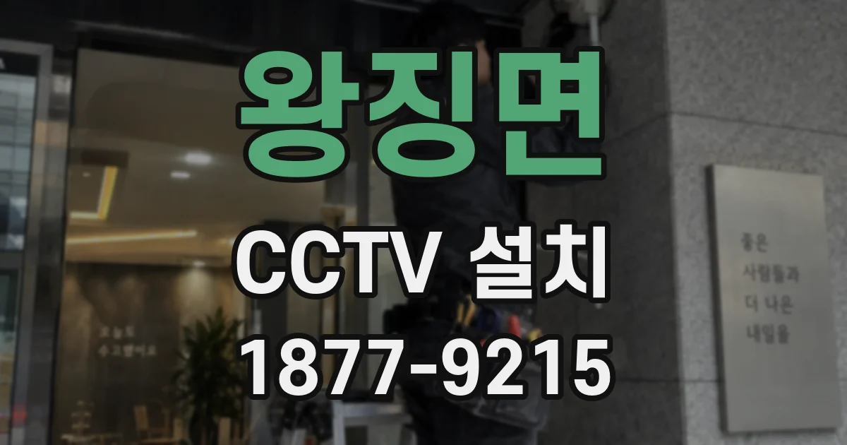 왕징면 CCTV 설치