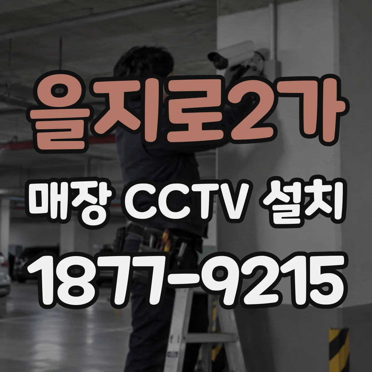 을지로2가 매장 CCTV 설치