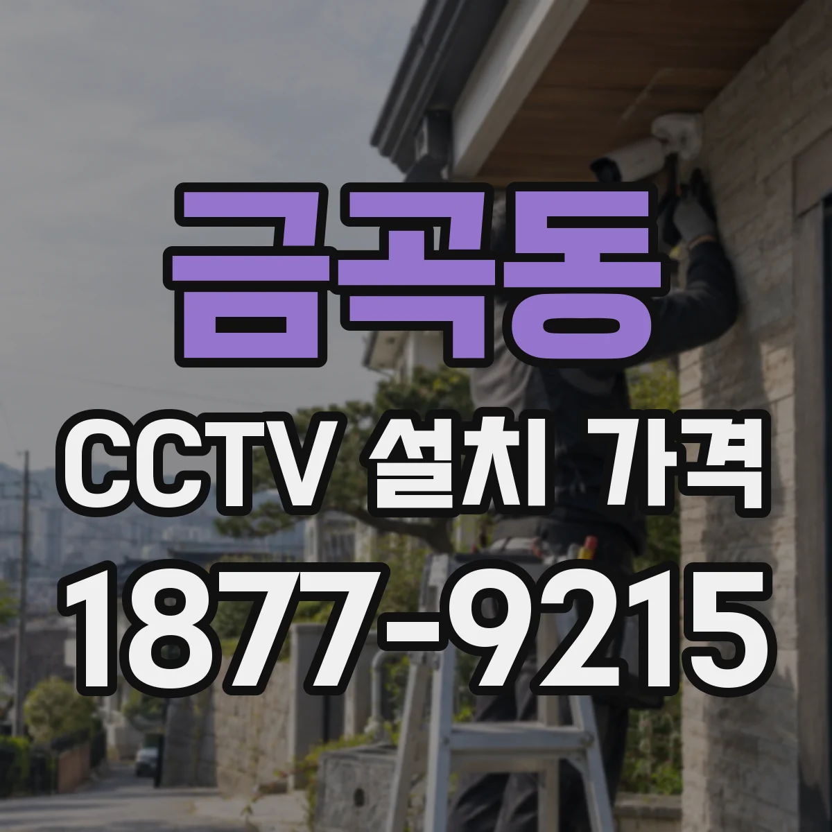 금곡동 CCTV 설치 가격