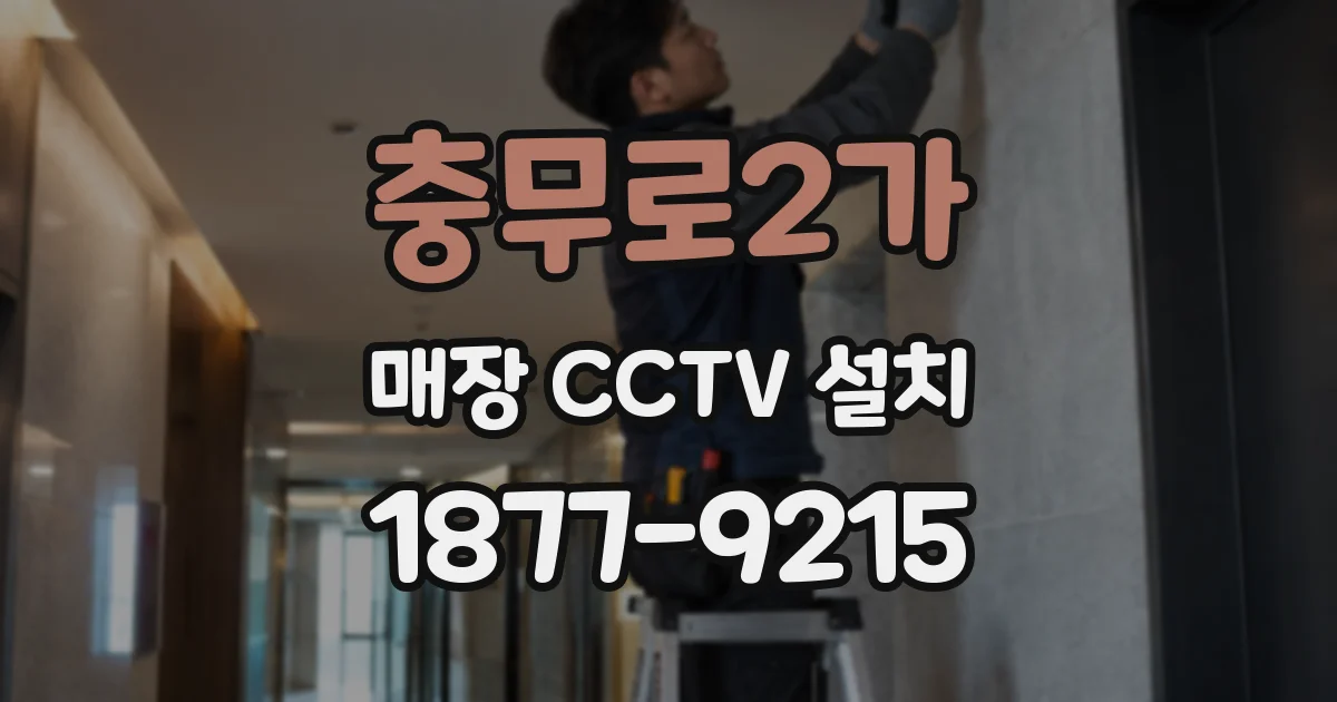 충무로2가 매장 CCTV 설치