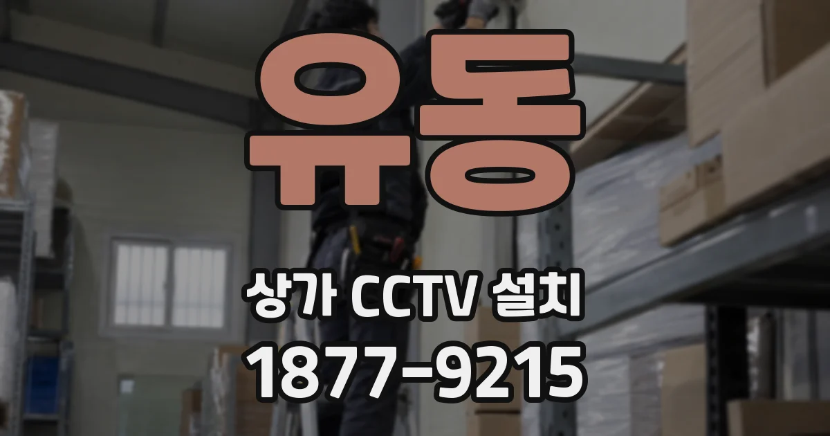 유동 상가 CCTV 설치