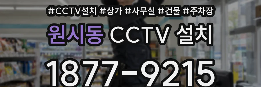 원시동 CCTV 설치