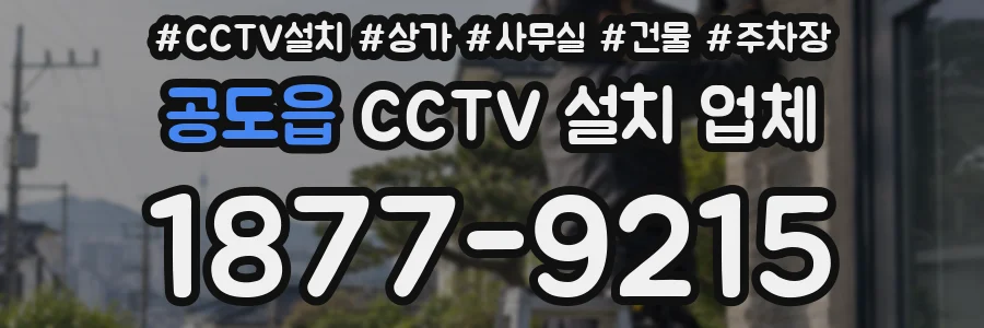 공도읍 CCTV 설치 업체