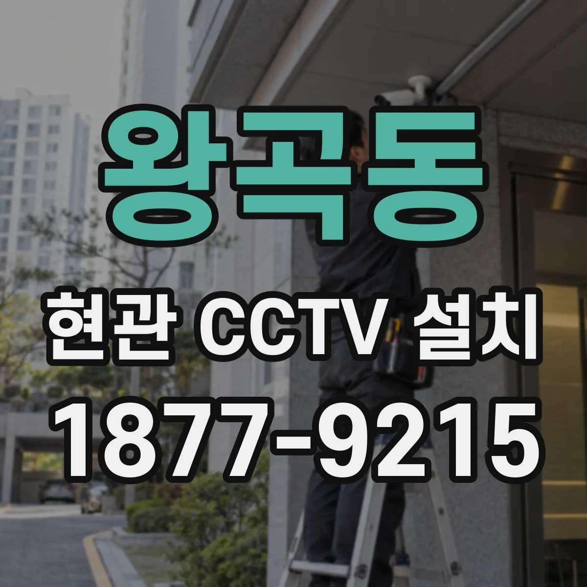 왕곡동 현관 CCTV 설치