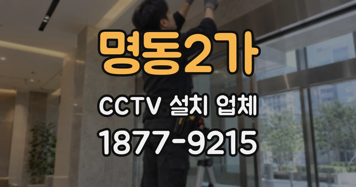 명동2가 CCTV 설치 업체