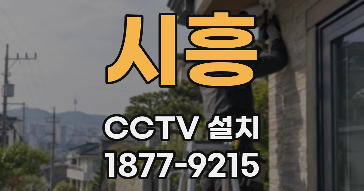 시흥 CCTV 설치