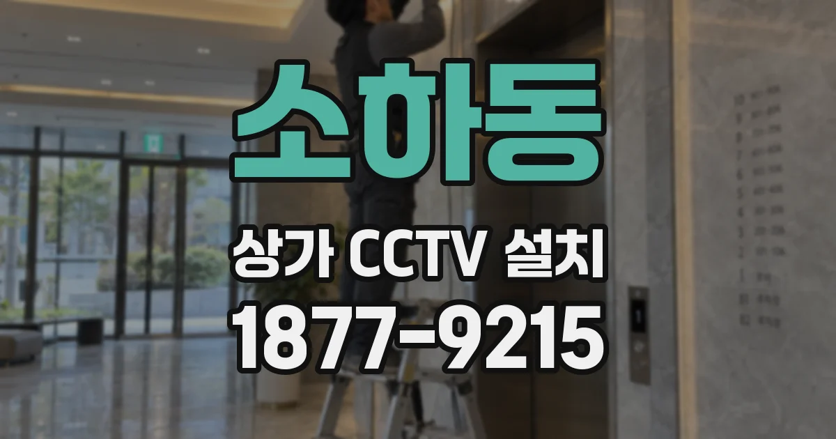 소하동 상가 CCTV 설치