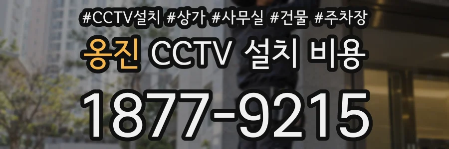 옹진 CCTV 설치 비용