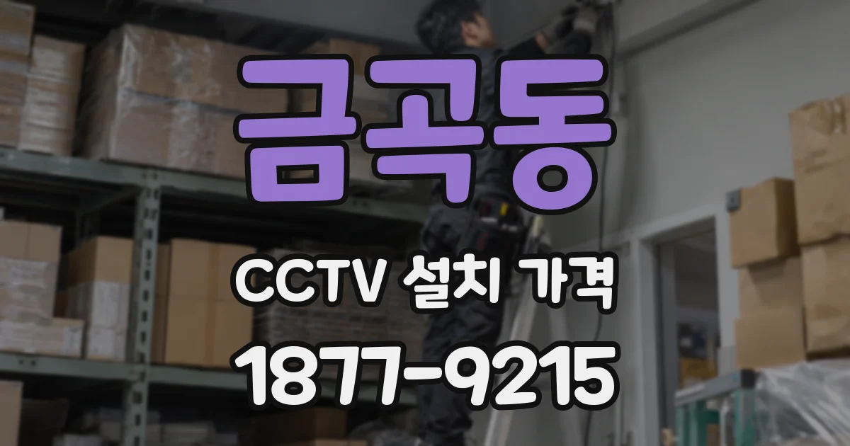 금곡동 CCTV 설치 가격