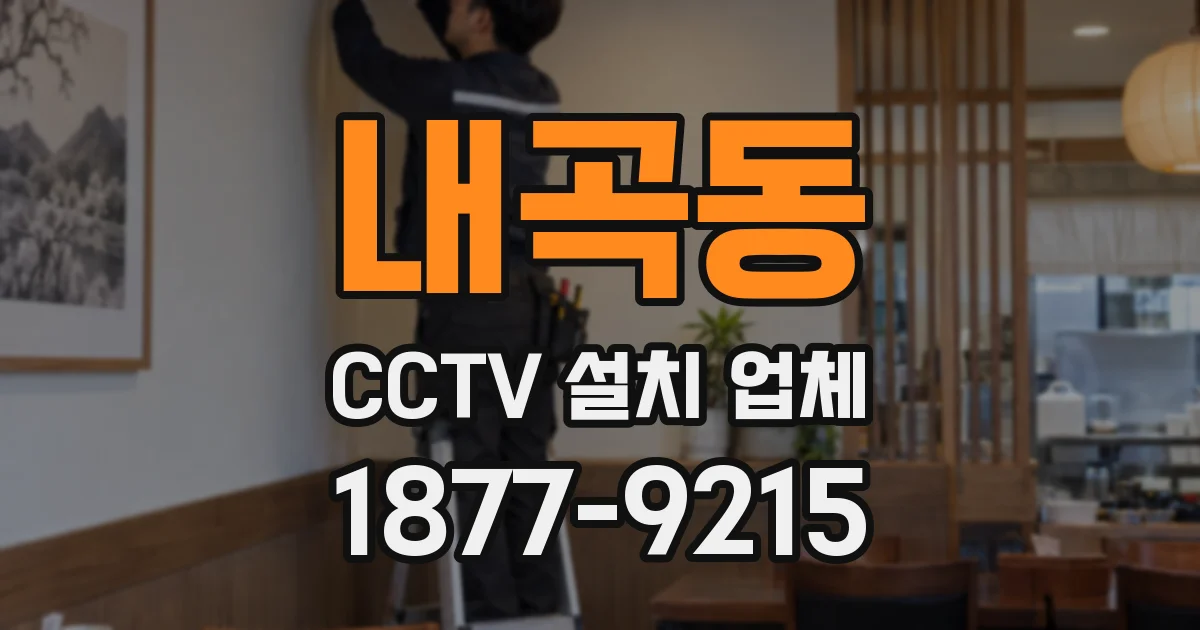 내곡동 CCTV 설치 업체
