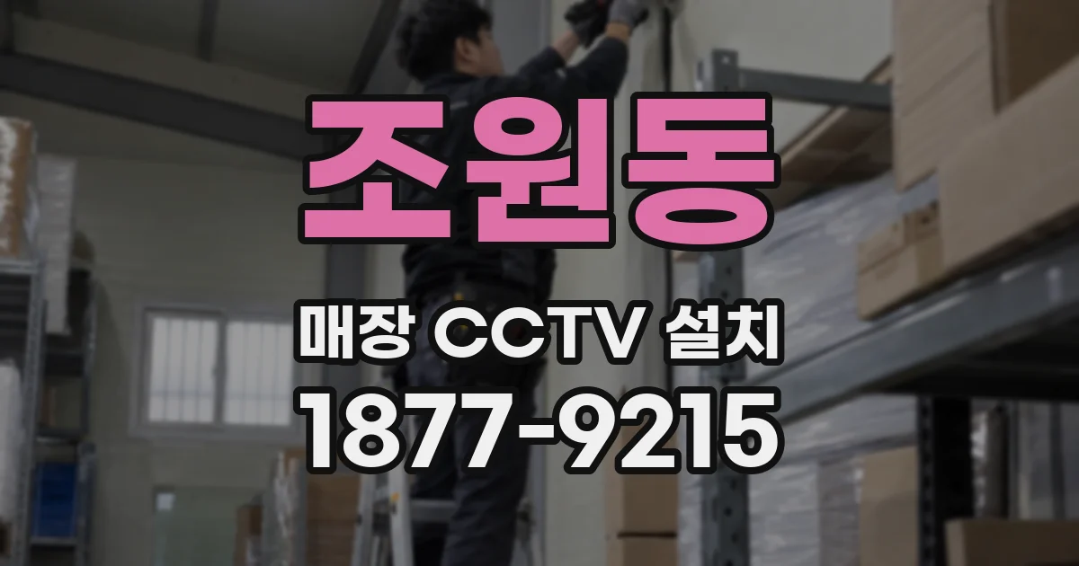 조원동 매장 CCTV 설치