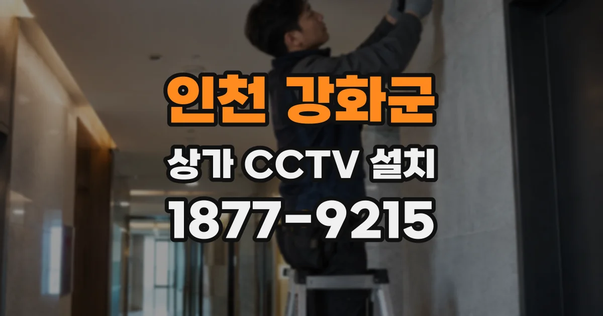 인천 강화군 상가 CCTV 설치