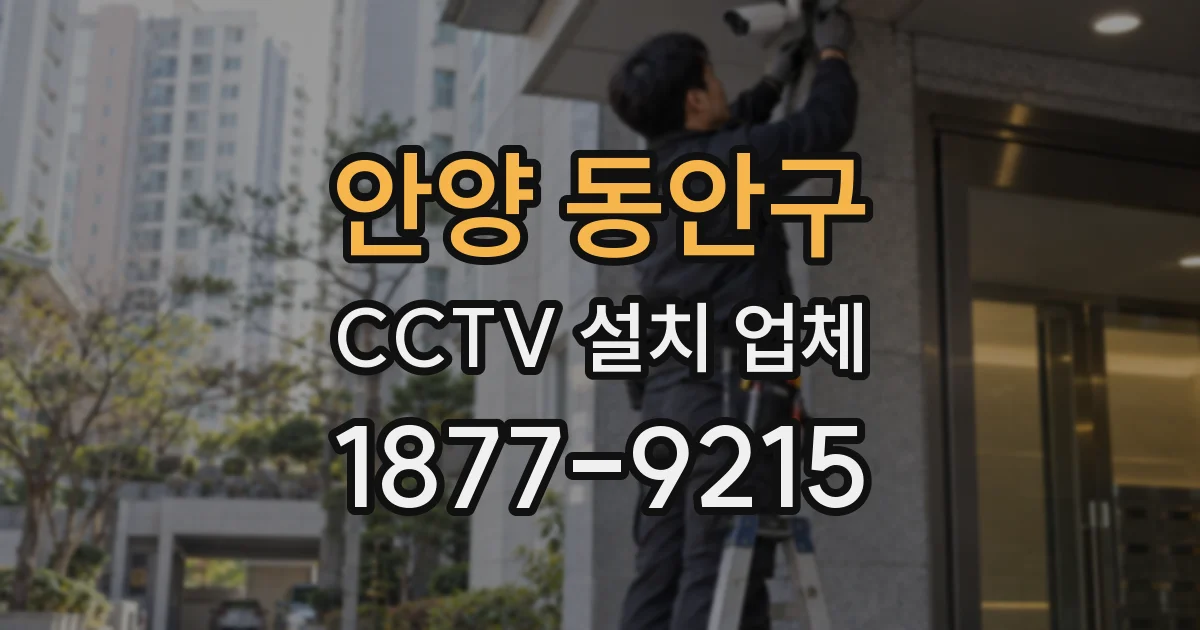 안양 동안구 CCTV 설치 업체