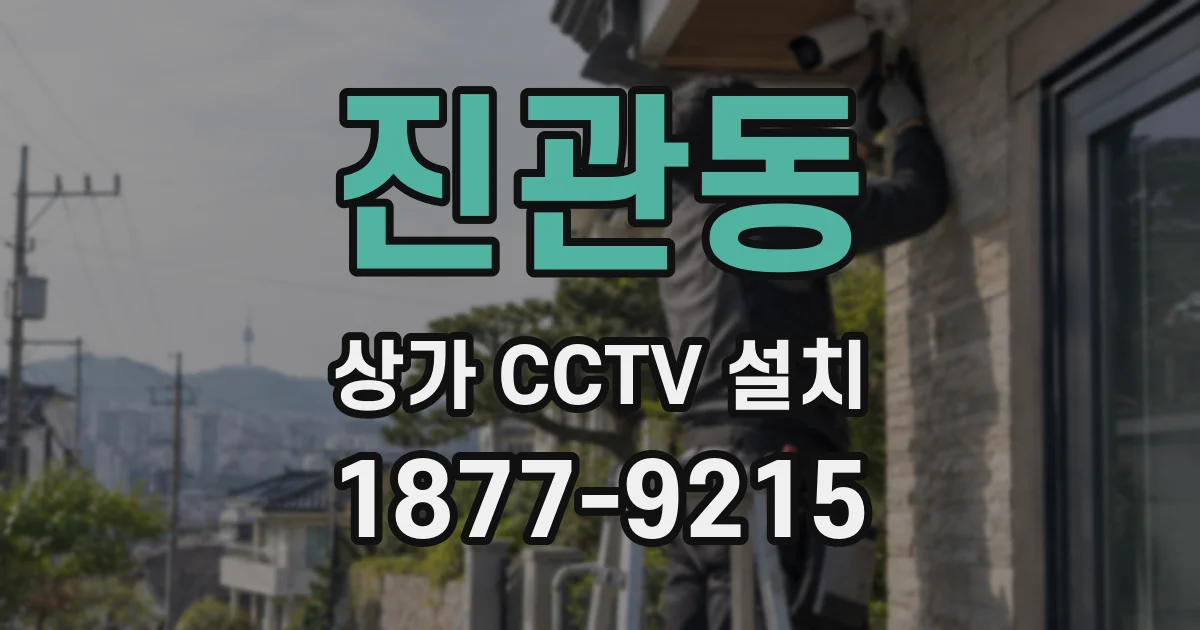 진관동 상가 CCTV 설치