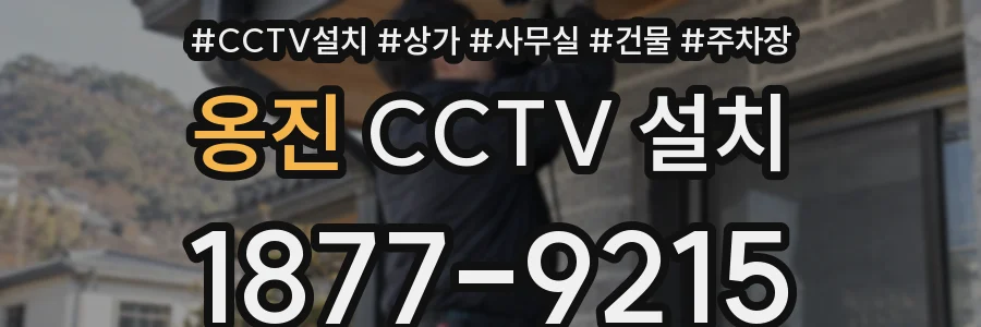 옹진 CCTV 설치