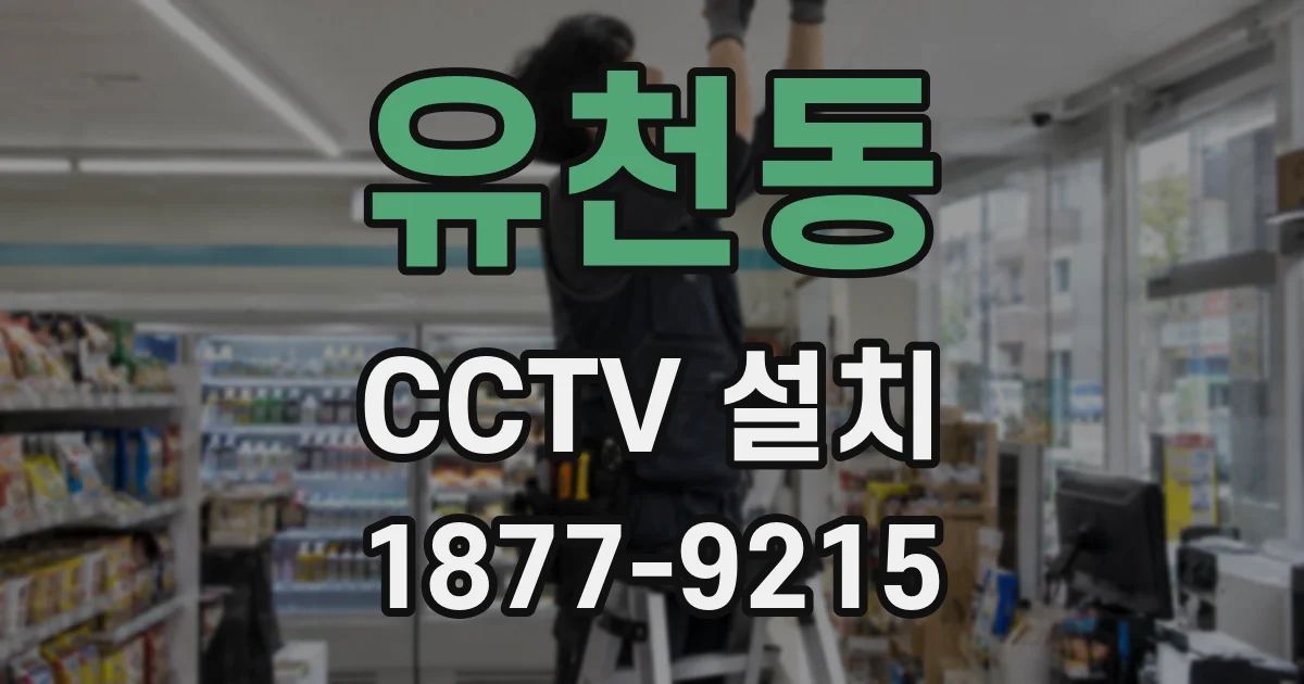 유천동 CCTV 설치