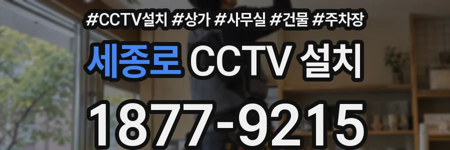 세종로 CCTV 설치