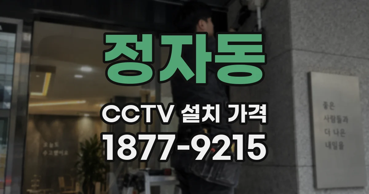 정자동 CCTV 설치 가격
