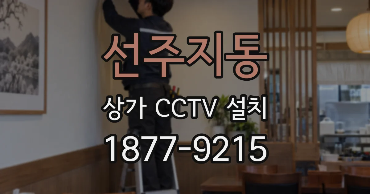 선주지동 상가 CCTV 설치