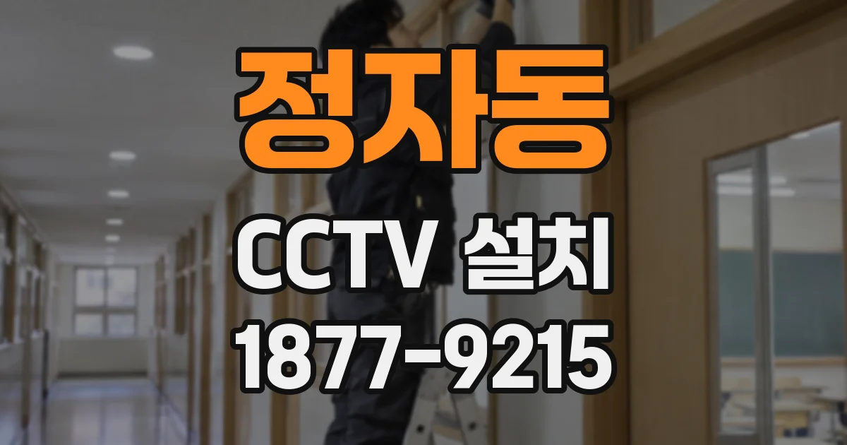 정자동 CCTV 설치