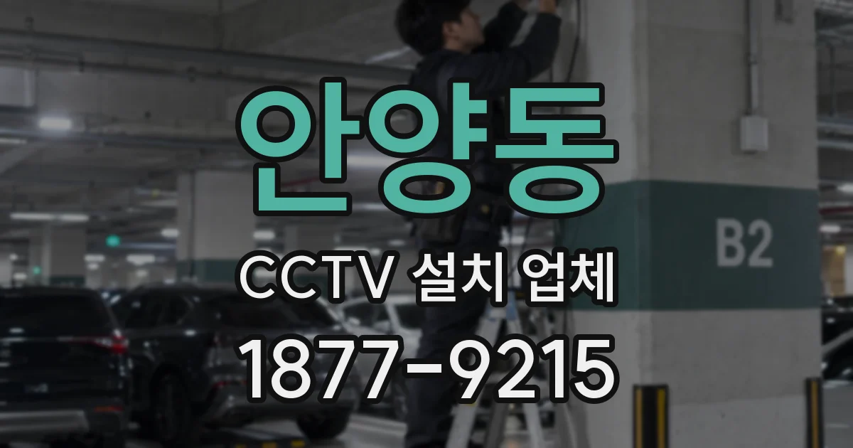 안양동 CCTV 설치 업체