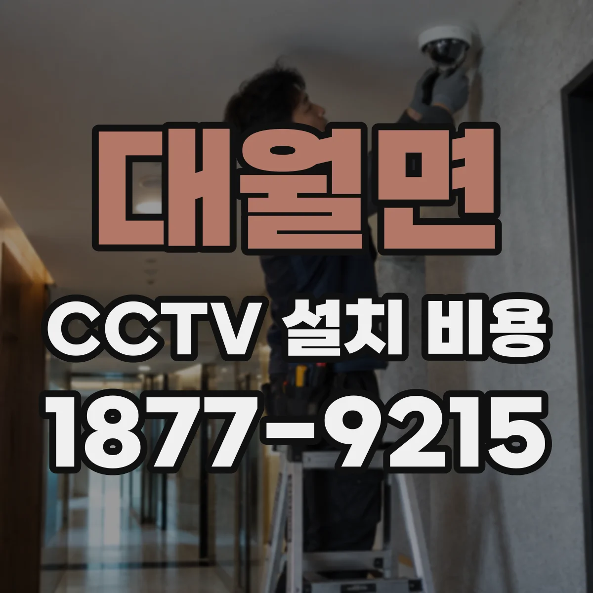 대월면 CCTV 설치 비용