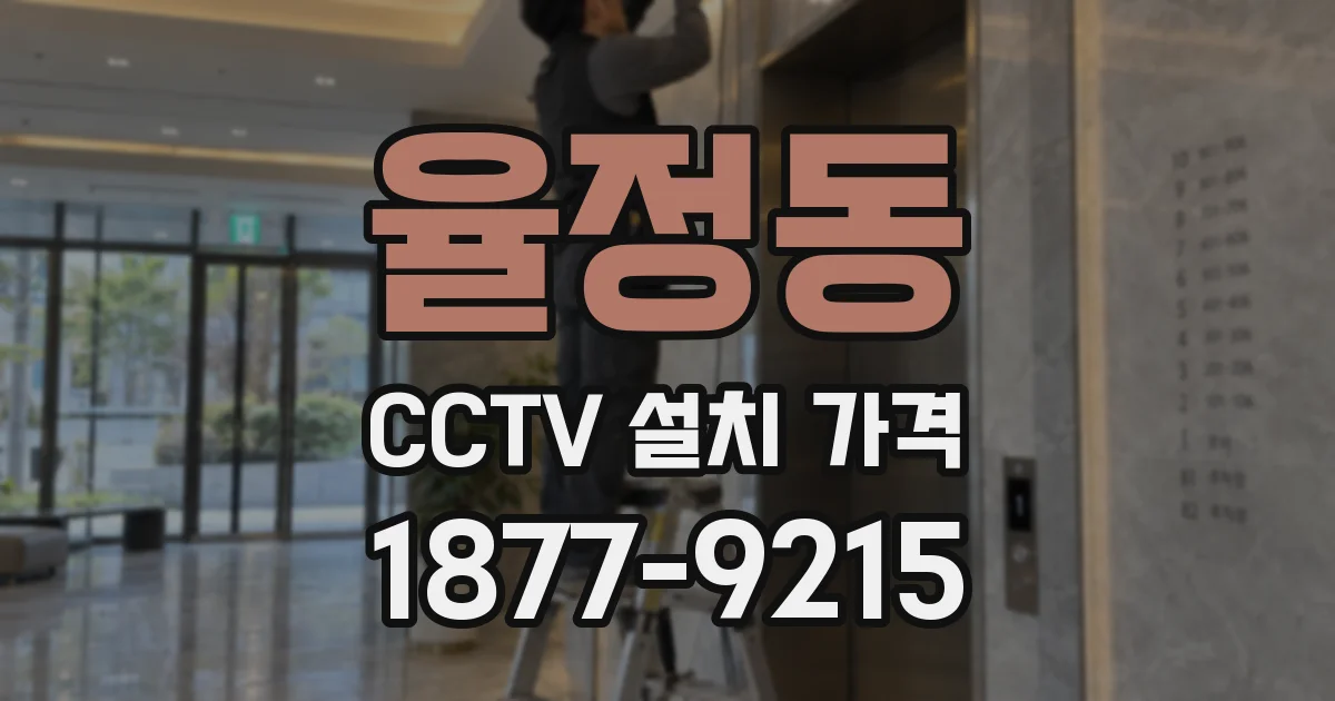 율정동 CCTV 설치 가격