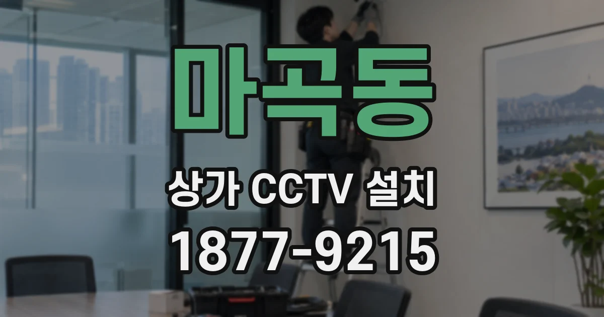 마곡동 상가 CCTV 설치