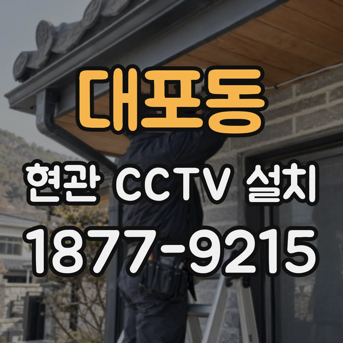 대포동 현관 CCTV 설치