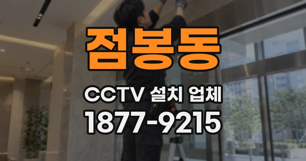 점봉동 CCTV 설치 업체