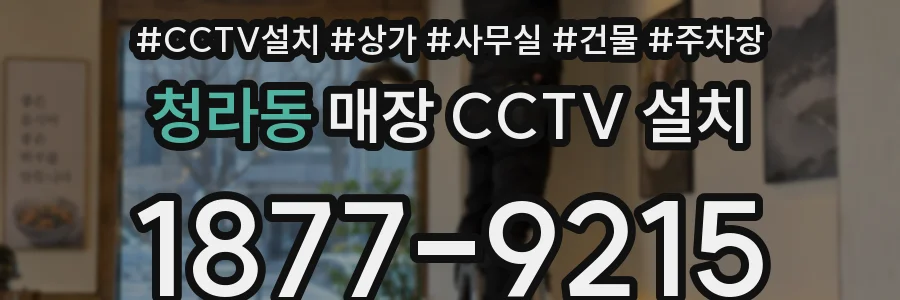 청라동 매장 CCTV 설치
