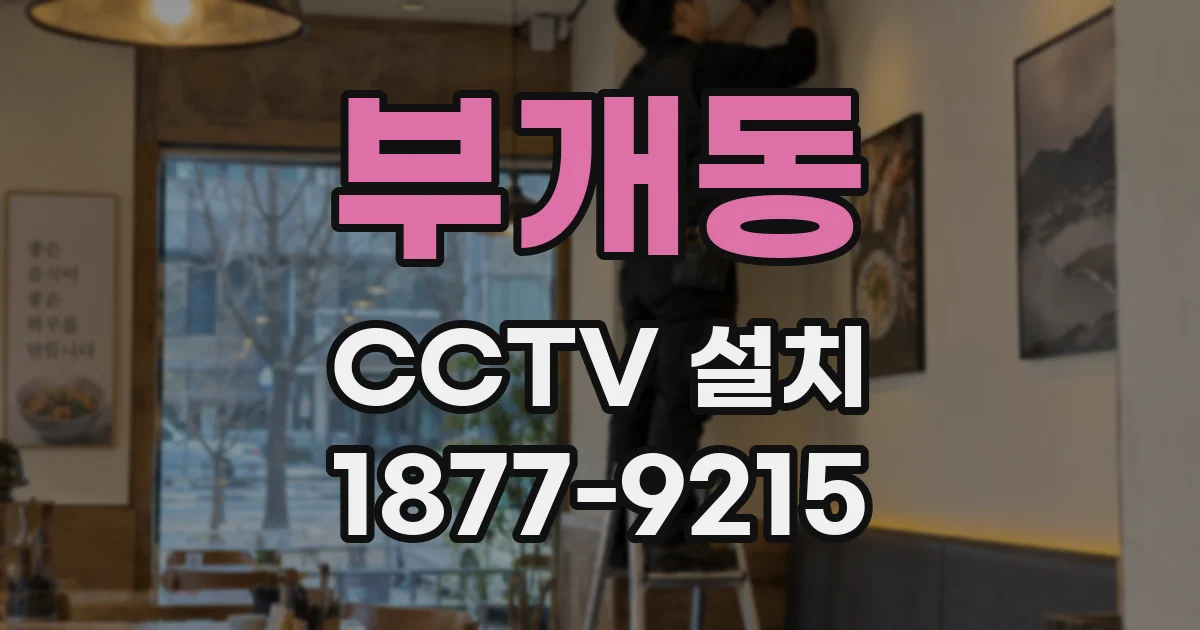 부개동 CCTV 설치