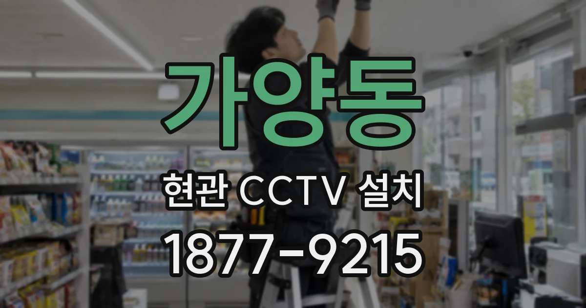 가양동 현관 CCTV 설치