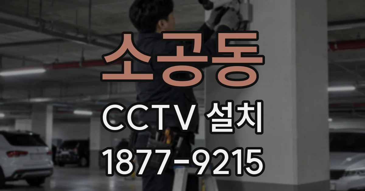 소공동 CCTV 설치