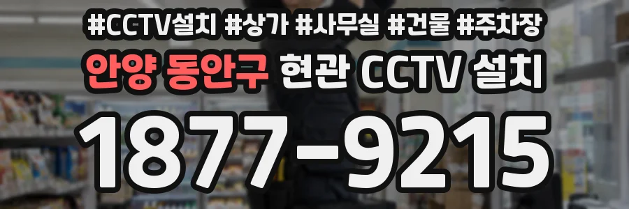 안양 동안구 현관 CCTV 설치
