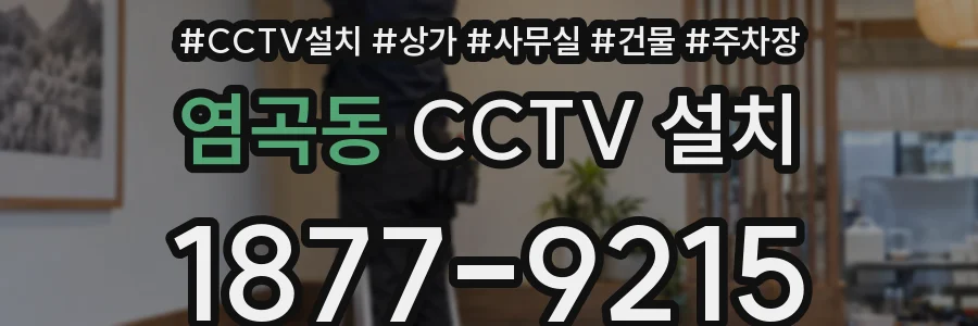 염곡동 CCTV 설치