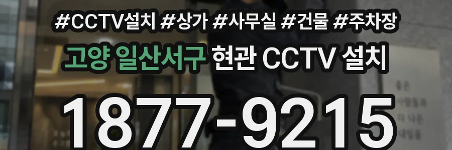 고양 일산서구 현관 CCTV 설치