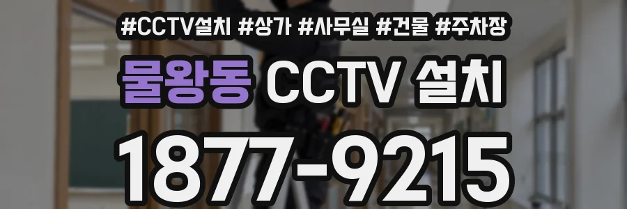 물왕동 CCTV 설치