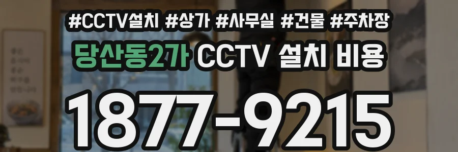 당산동2가 CCTV 설치 비용