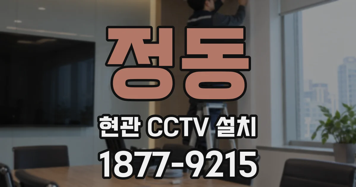 정동 현관 CCTV 설치