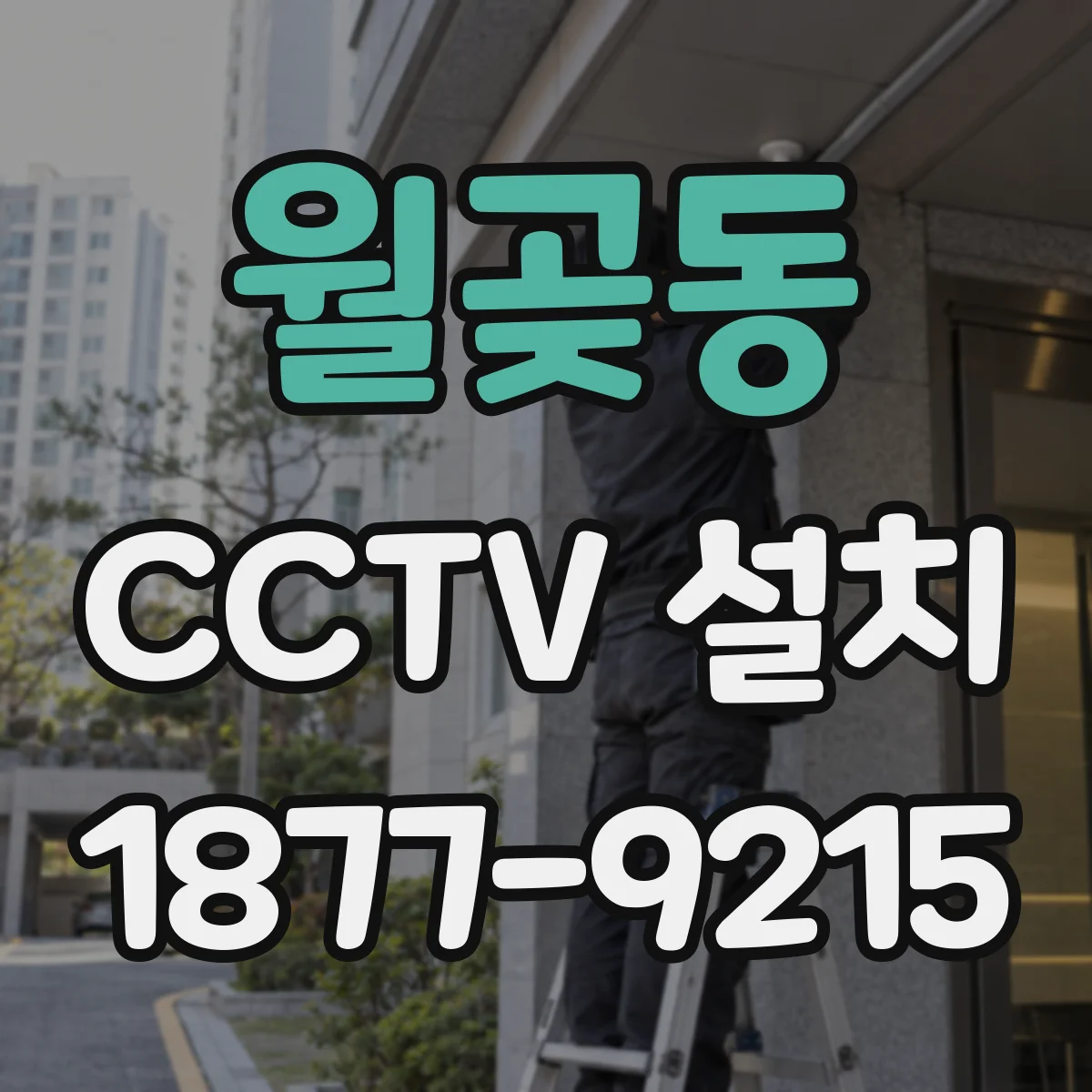 월곶동 CCTV 설치