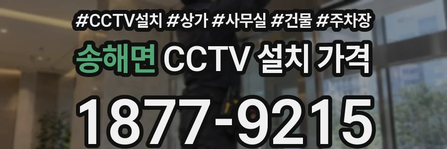 송해면 CCTV 설치 가격