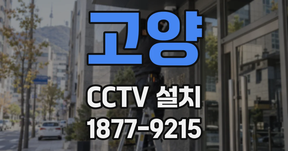 고양 CCTV 설치