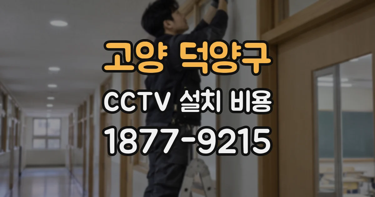 고양 덕양구 CCTV 설치 비용