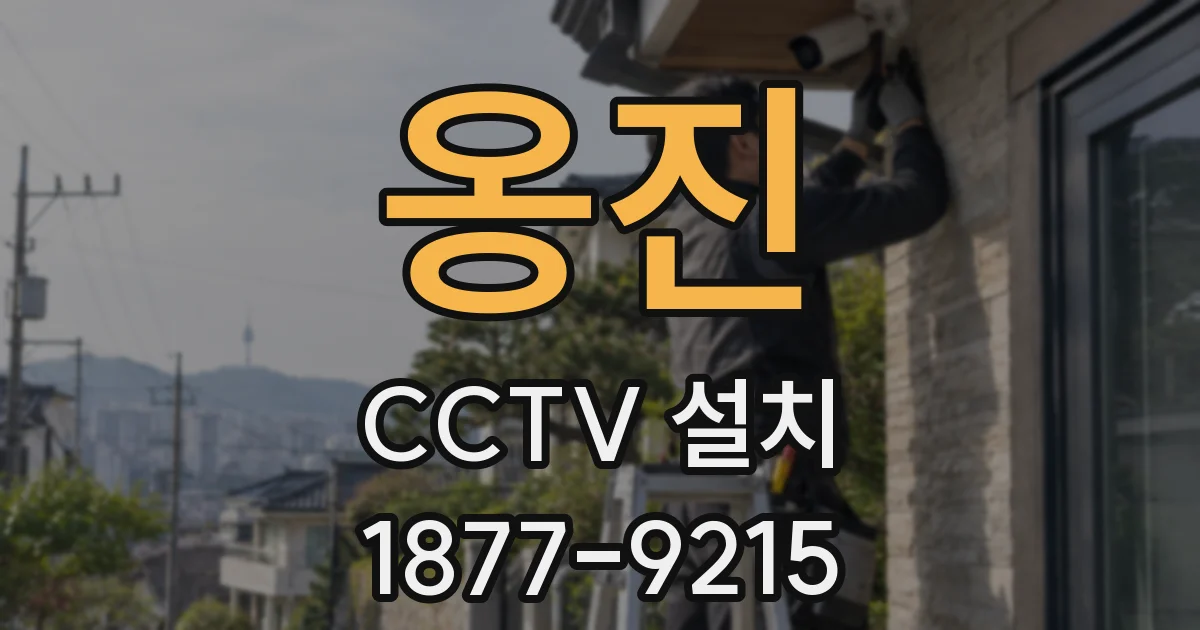 옹진 CCTV 설치