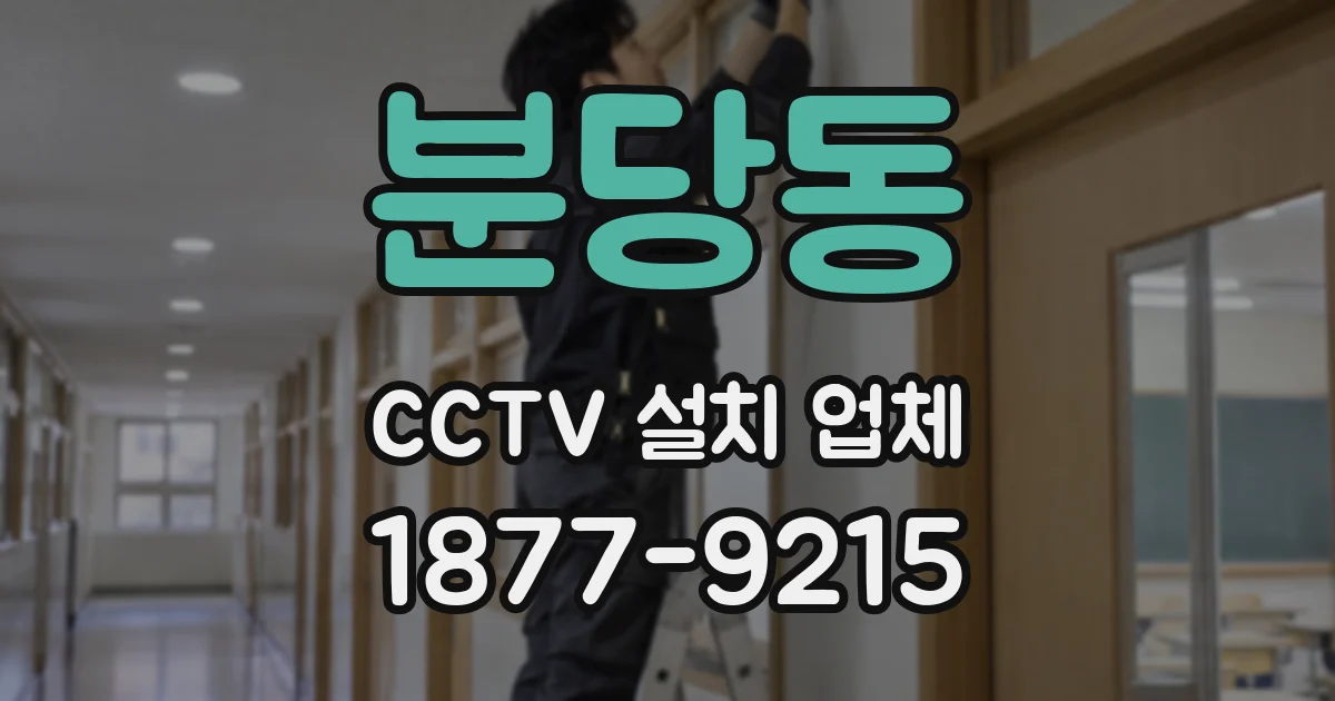 분당동 CCTV 설치 업체