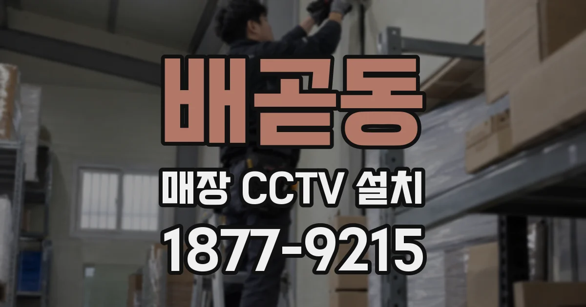 배곧동 매장 CCTV 설치